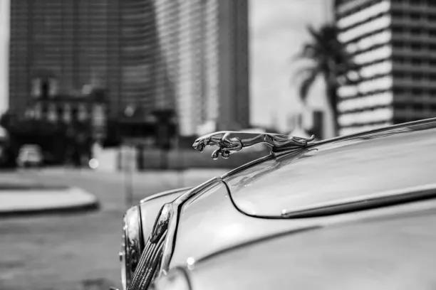 Cazino Prize Land Bingo Cazinou Aplicație Android/iOS